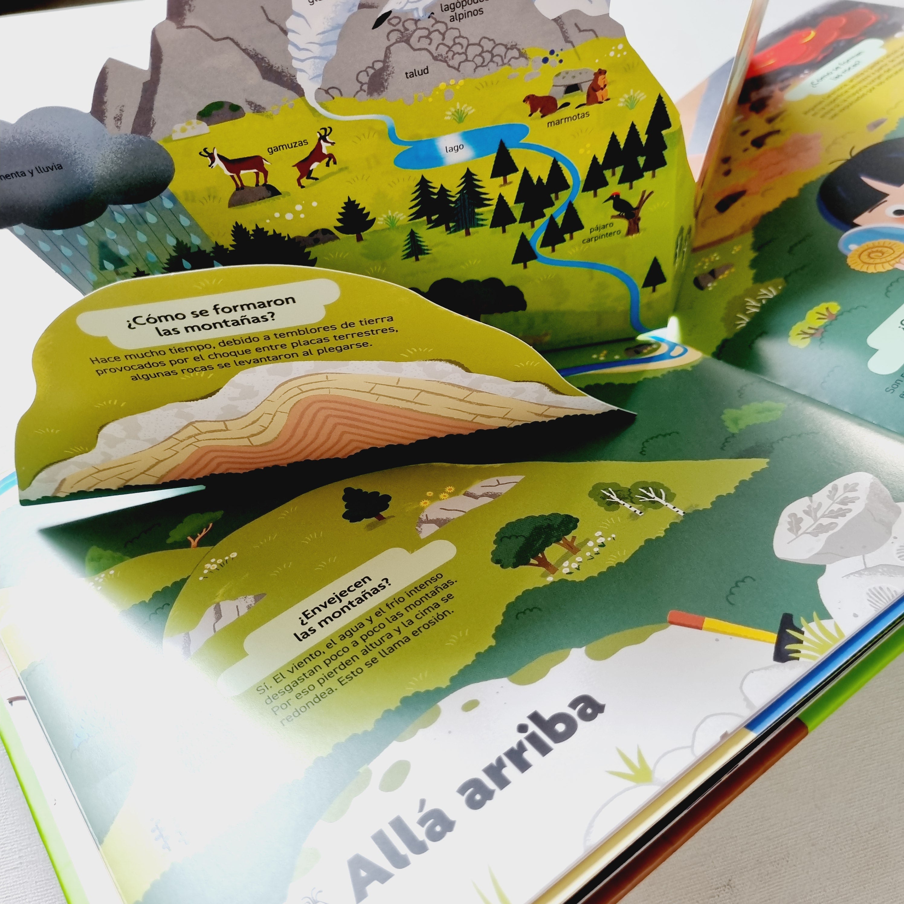 El libro de la naturaleza. Pequeños curiosos El libro de la naturaleza. Pequeños curiosos